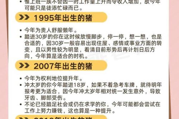 出生属猪人运程详解