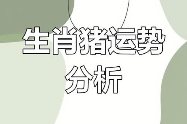 出生属猪人运程详解