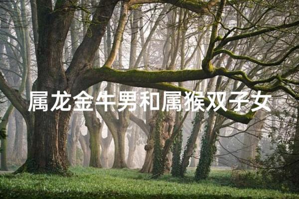 属龙男和属牛女的性格契合度如何
