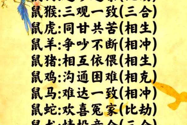 探索属猴和属鼠配对的五大优点 让爱情更美好