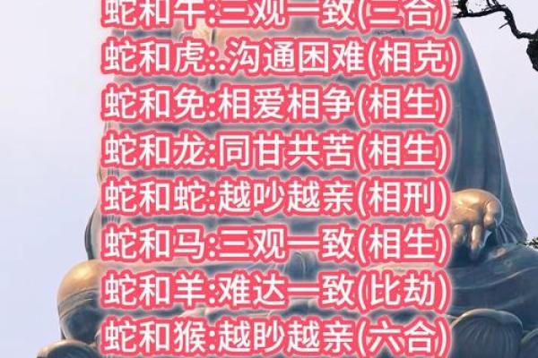 羊与蛇的婚姻适合长久吗