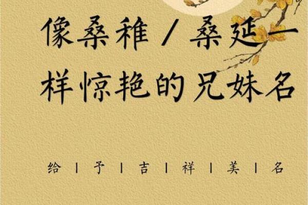 给兄妹起名字的创意灵感与建议