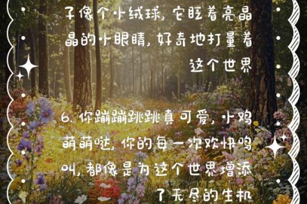 如何为小鸡选个既可爱又有意义的名字