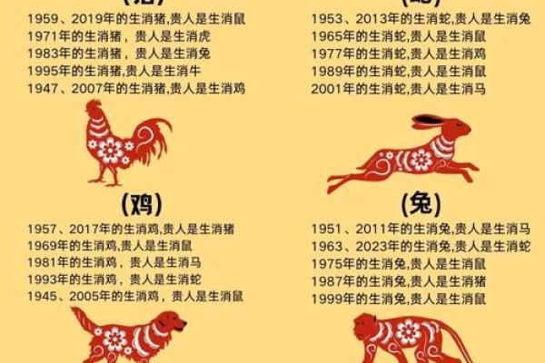 属马人运势解析：挑战与机遇并存
