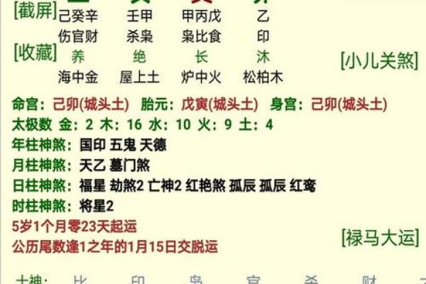 男命八字解析：如何解读命运中的五行元素