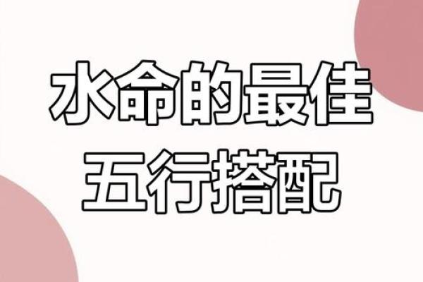 八字水命：如何通过五行解读提升个人运势？