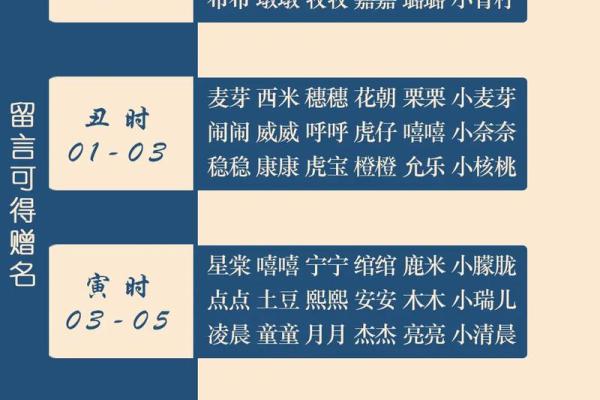 为属羊男宝宝起名字的最佳选择与技巧