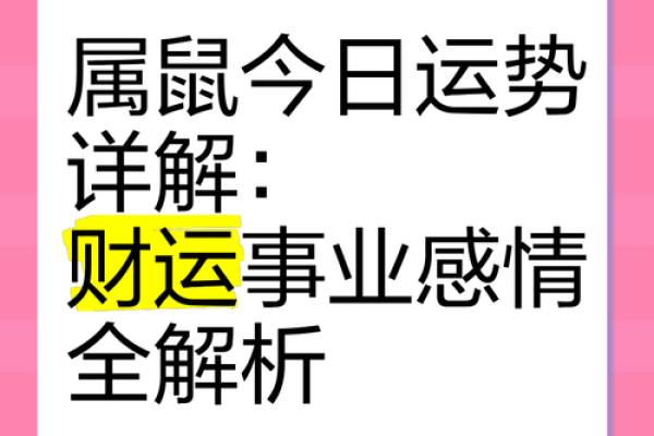 属鼠今日运势全景分析，健康和事业的关键时刻