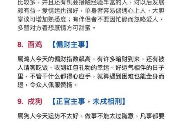 十二生肖运势指南：如何把握今日的好运与机会