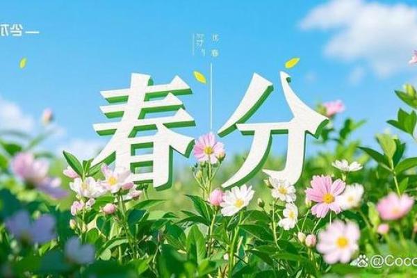 春分至，万物复苏，踏青赏花正当时