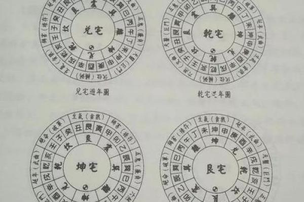 震命与东四命的深度解析及其生活影响