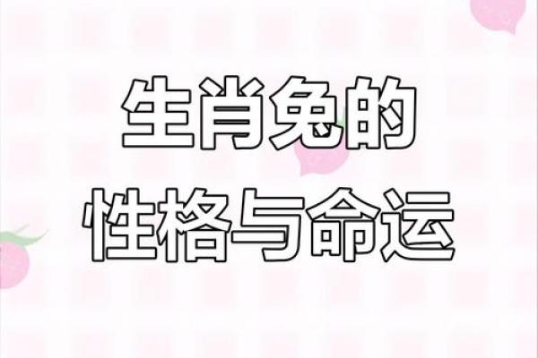 兔男羊女的性格匹配与爱情观