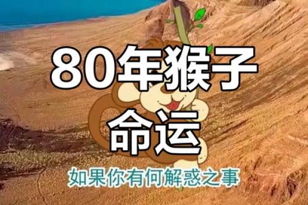 了解属猴人今日的运势变化与重点