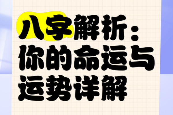 如何选择一款精准的算八字软件帮助你了解命运
