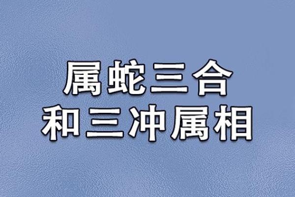 属蛇和属羊的星座匹配度分析