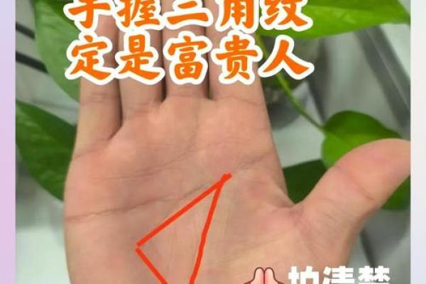 男人富贵命的手相特征揭秘