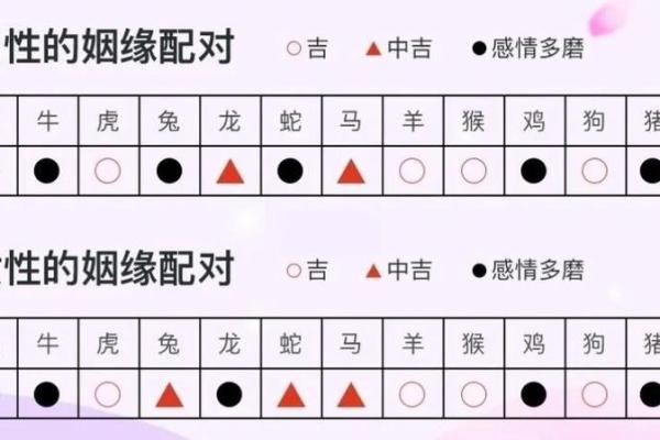 男马与女马的爱情能走多远？