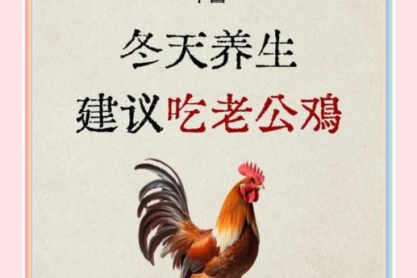 本命年属鸡的健康养生方法