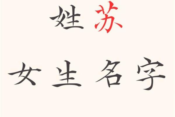 给苏姓宝宝起个有寓意的名字