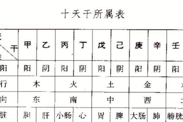 免费八字详解：如何通过八字了解你的命运走势