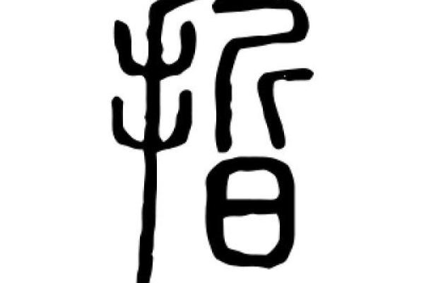 如何通过哲字提升公司品牌的文化内涵