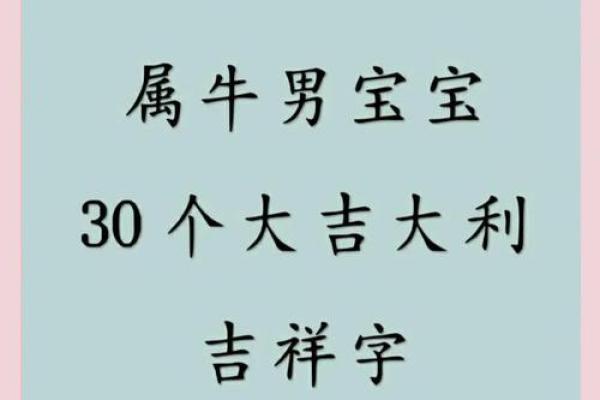 属牛父母必看：如何根据八字为宝宝起名