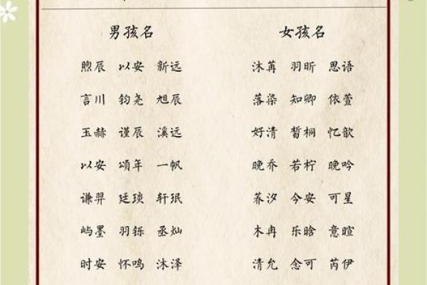 外国小孩名字中的流行趋势与经典选择