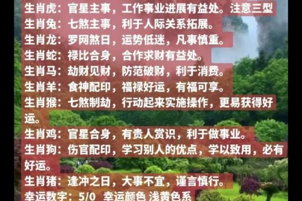 农历每日属相查询，掌握命运玄机