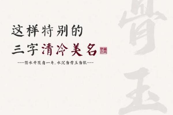 从音韵到寓意，选一个完美的三个字名字