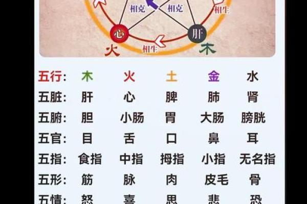 五行属性解析：如何通过五行来了解自己的性格与命运