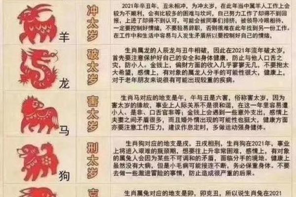 2024年生肖运势大揭秘：吉凶对照表，你的生肖运势如何？