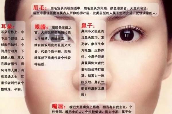 五行木命的特点与命运影响