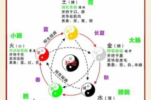 文字与五行的关系：探索字义背后的深层次含义
