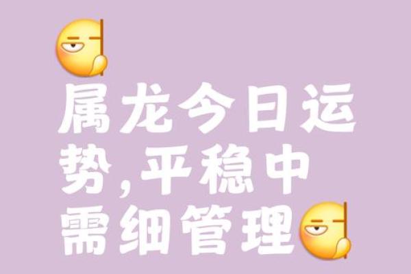 属龙人今日运势：如何把握好运，避开隐患