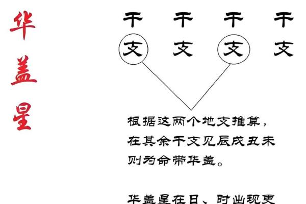 名字背后的深层含义与命运的微妙联系
