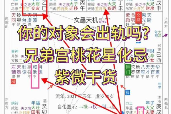 男命双桃花到底代表什么？解密背后的玄机