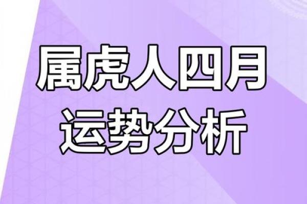 虎生肖运势，运气升降详解