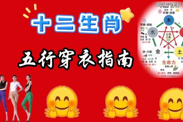 解读十二生肖五行，助你掌握人生好运秘籍