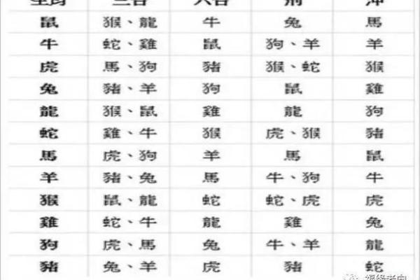 属龙女和属羊男的性格差异：婚姻中的和谐与冲突