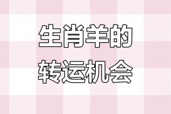 属羊人事业和财运走势