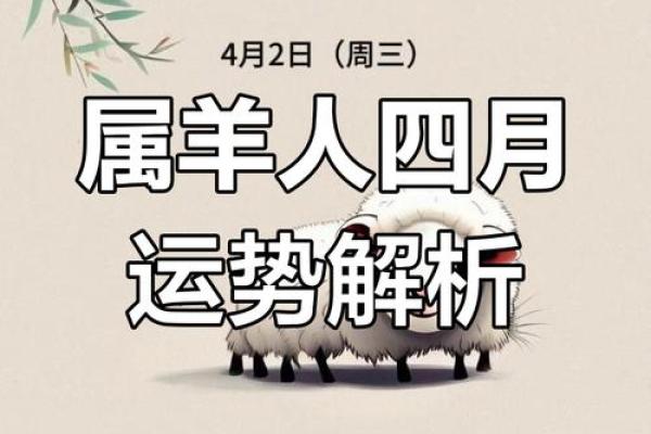 属羊人事业和财运走势