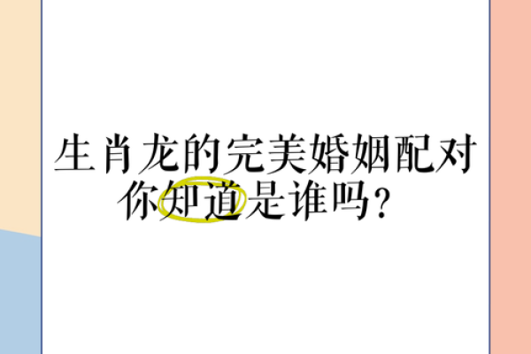 属龙与属蛇的配对解析：是否天作之合？