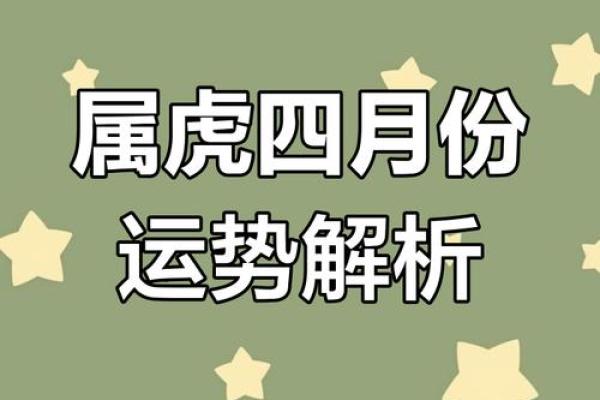 属虎人每月运势分析及发展趋势