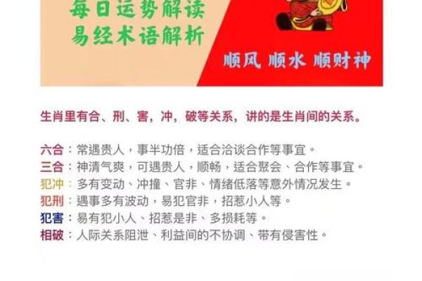 五官在风水中的重要性与开运技巧