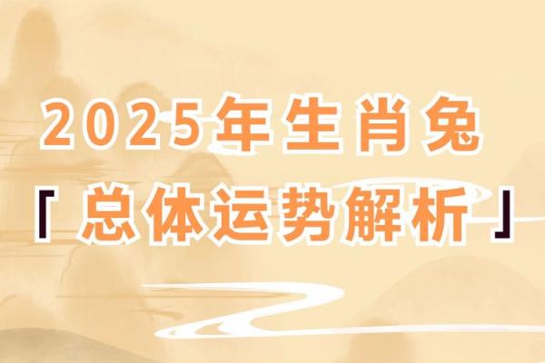 属兔人在本命年如何处理财务危机