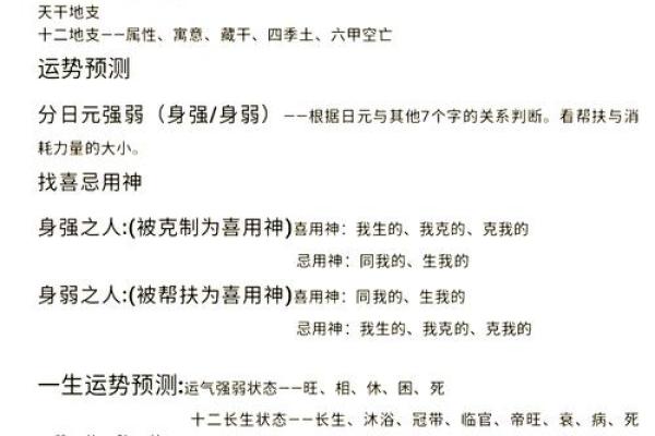 免费算命揭示八字与生肖，探索未来运程的奥秘