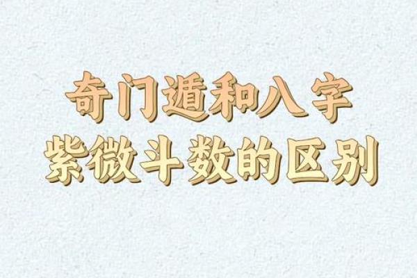 免费算命揭示八字与生肖，探索未来运程的奥秘