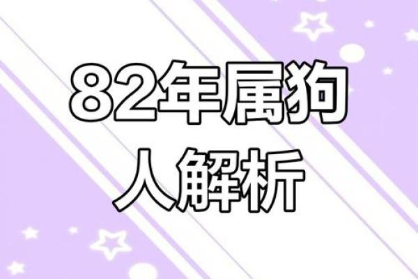狗人年度运势：风生水起或遇阻碍的关键时刻