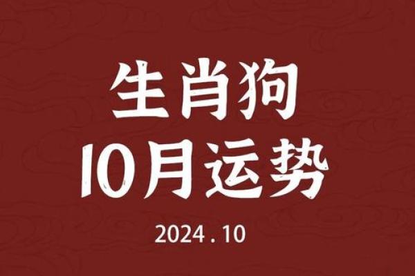 狗人年度运势：风生水起或遇阻碍的关键时刻