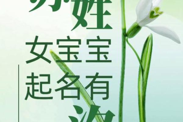 苏姓起名推荐，传承与创新并存